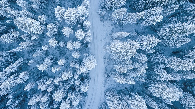 Citas y reflexiones sobre el invierno