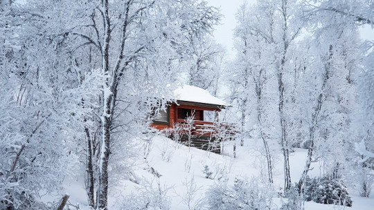 Frases de invierno