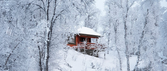 Frases de invierno