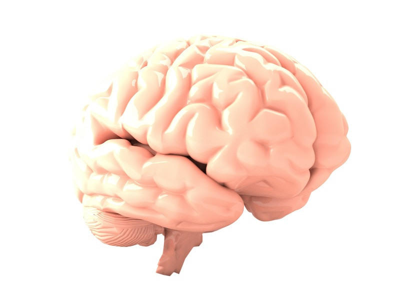 Cuánto sabes sobre el cuerpo humano