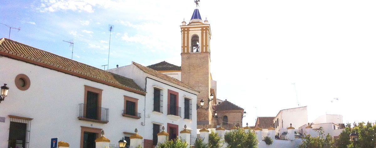 Psicólogos en El Viso del Alcor