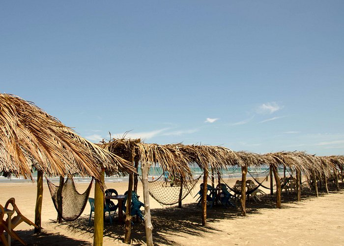 Psicólogos en Túxpam de Rodríguez Cano