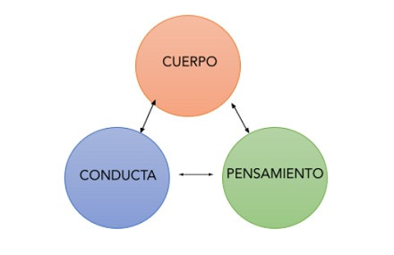 CCuerpo. conducta y pensamiento