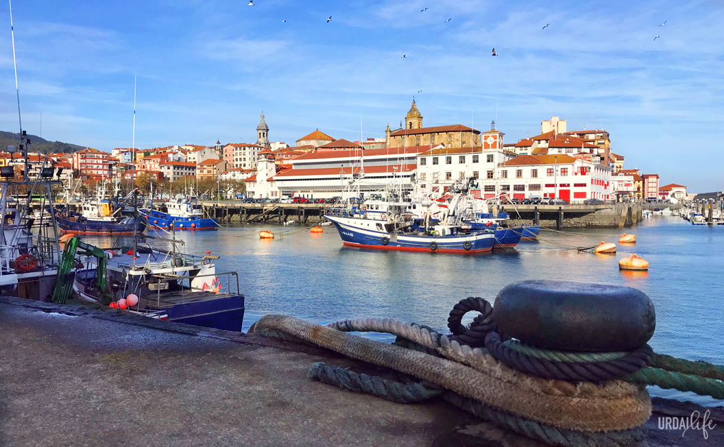 Psicólogos en Bermeo