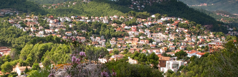 Psicólogos en Vallirana