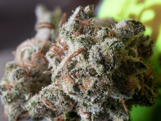 Efectos de la marihuana en el sistema nervioso