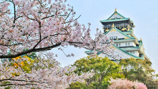Los mejores viajes para meditar