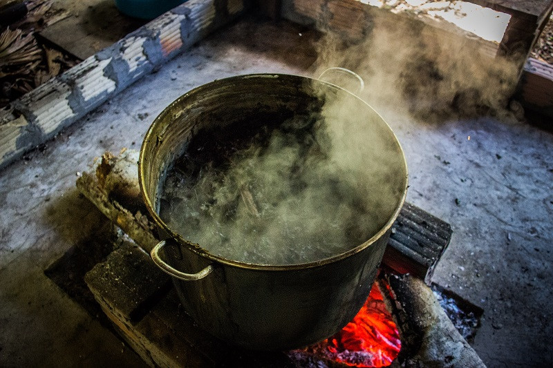Preparación de la ayahuasca