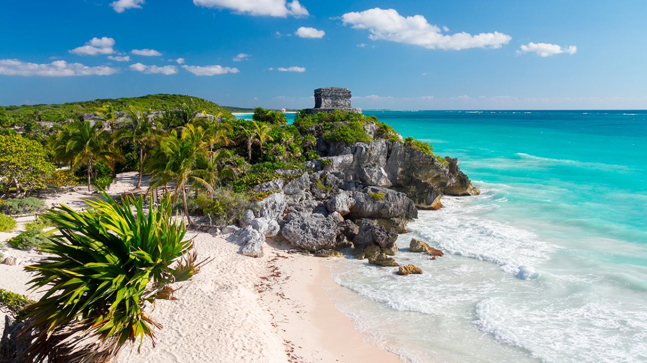 Psicólogos en Tulum
