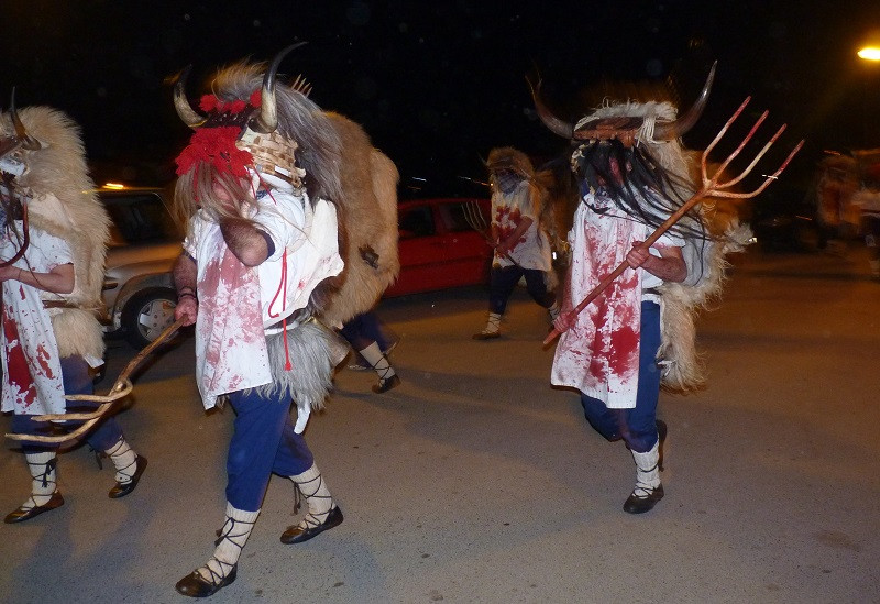 Carnaval de Navarra