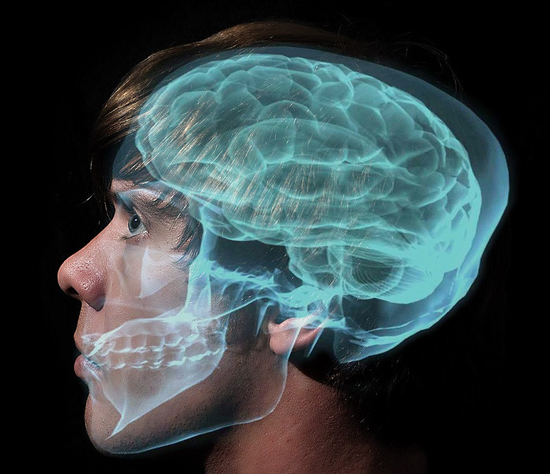 Mapear el cerebro