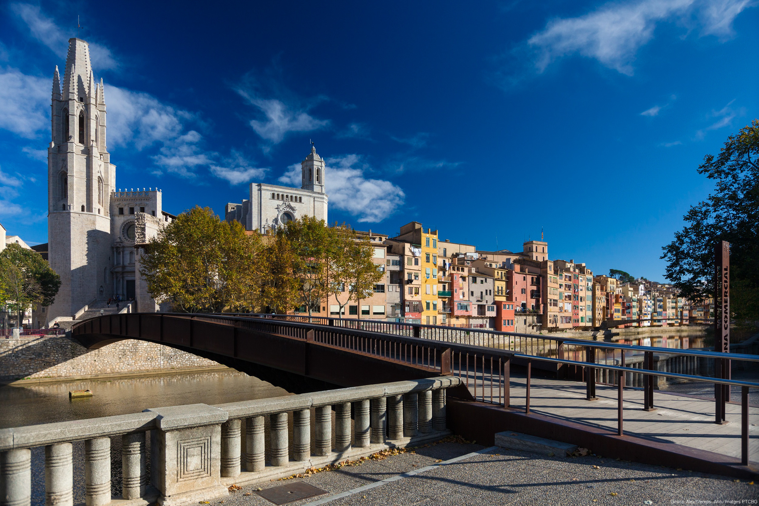 Psicólogos Forenses en Girona