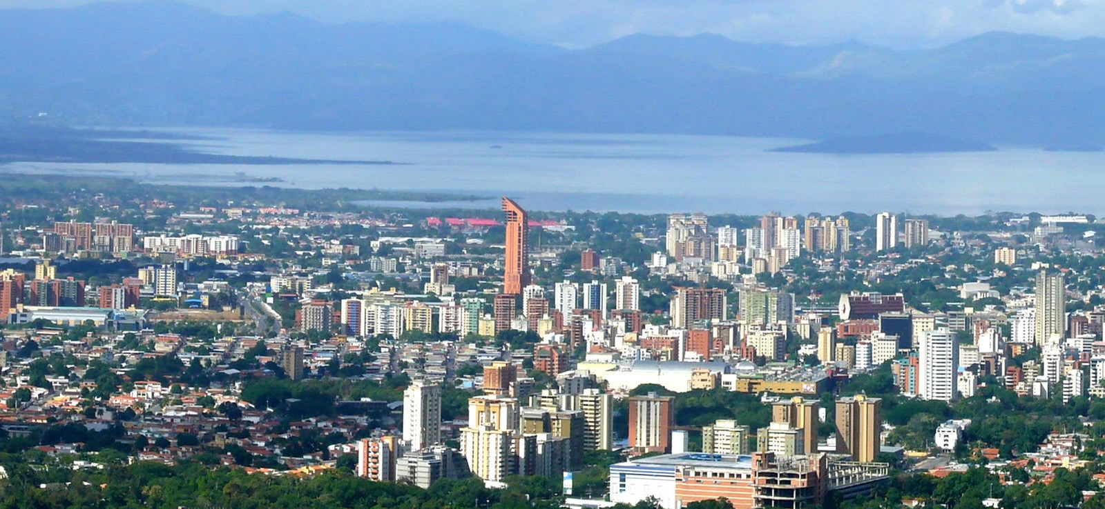 Psicólogos en Maracay