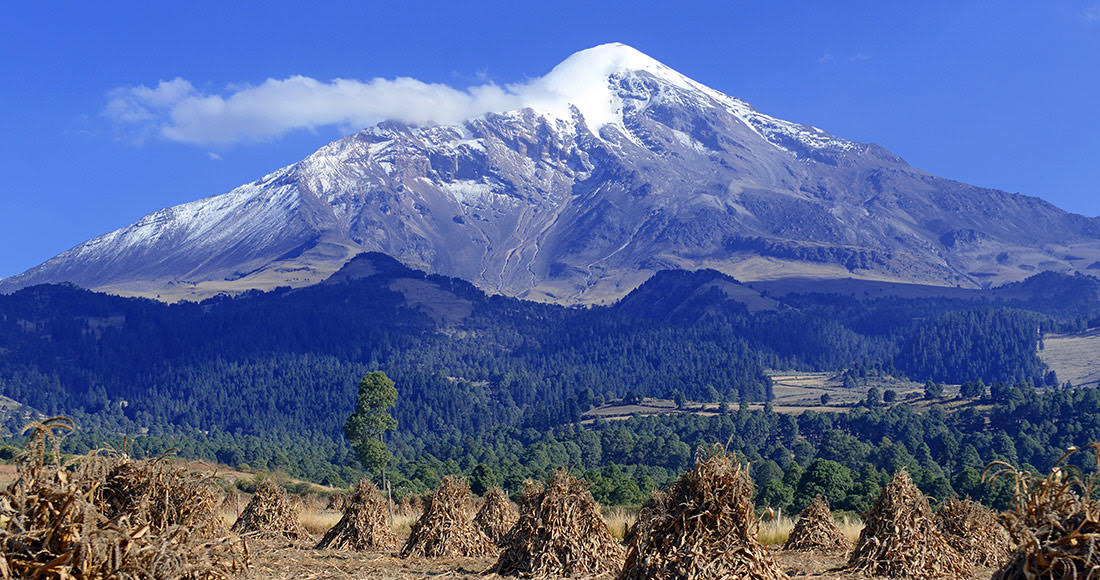 Psicólogos expertos en ansiedad en Orizaba