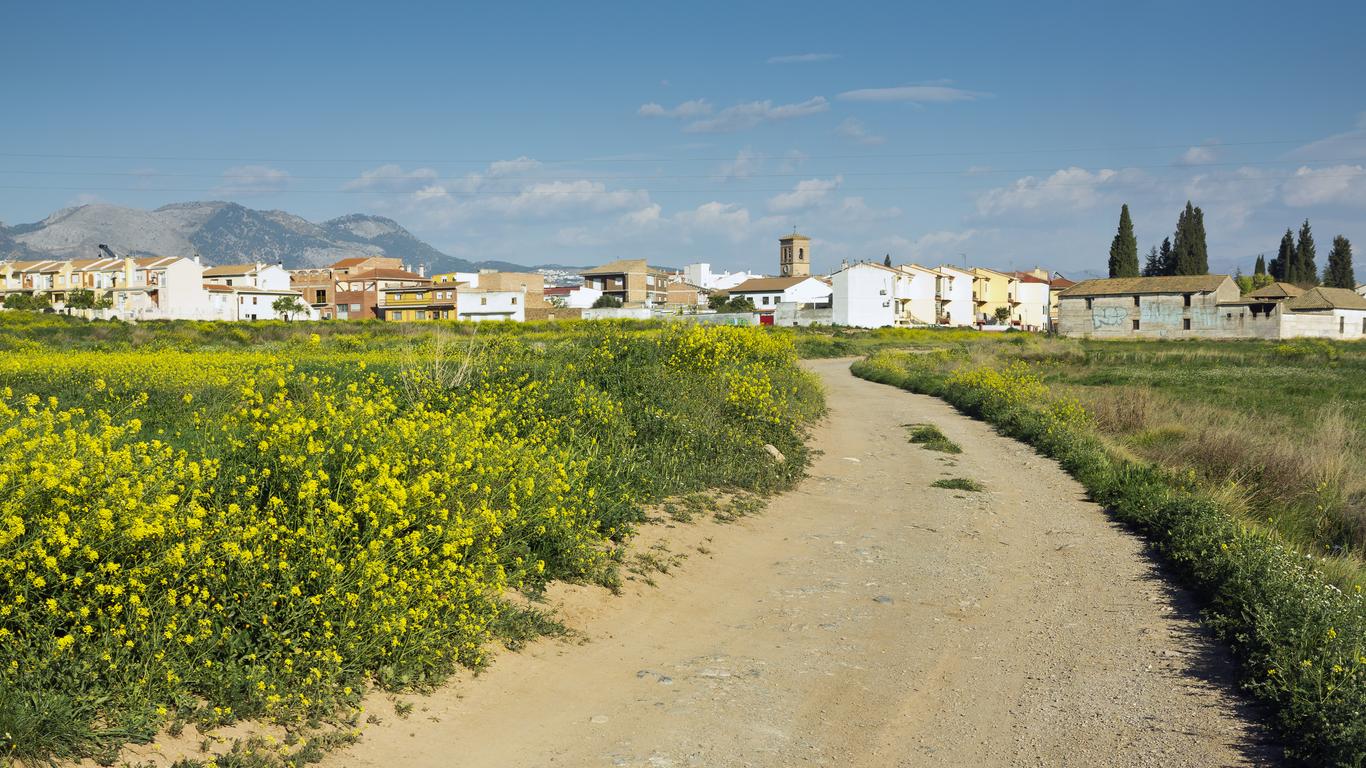 Psicólogos en Albolote