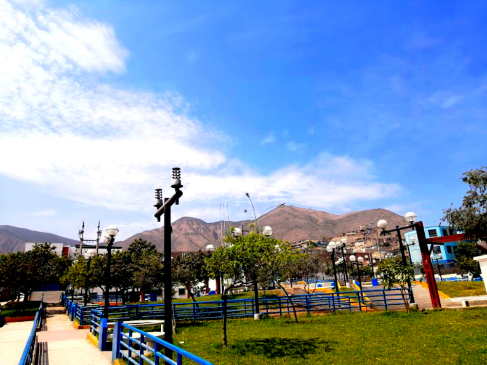Psicólogos en Carabayllo (Lima)