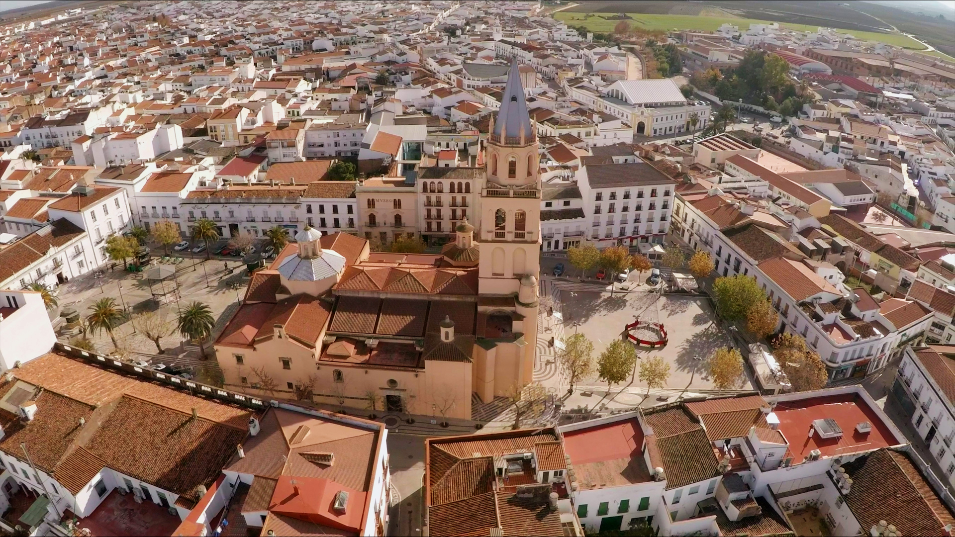 Psicólogos en Villafranca de los Barros