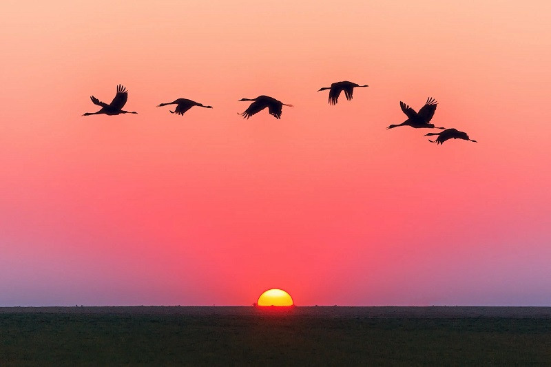 Reflexiones sobre el Sol