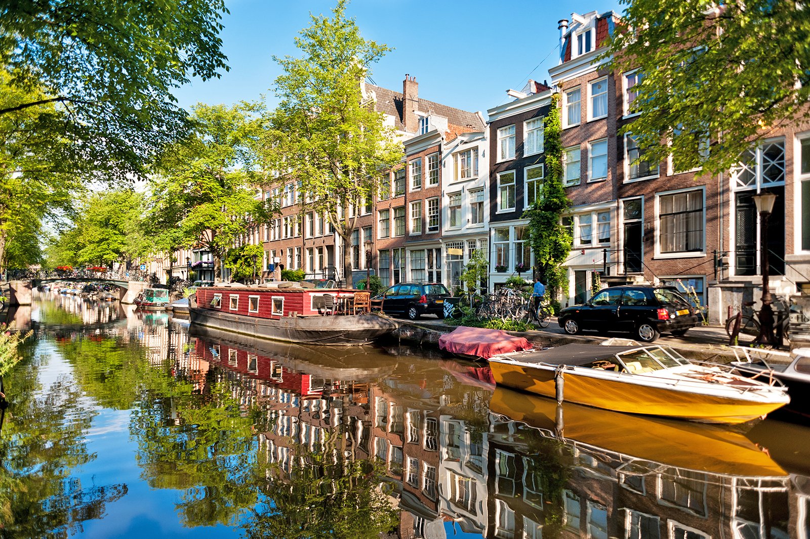 Psicólogos en Ámsterdam