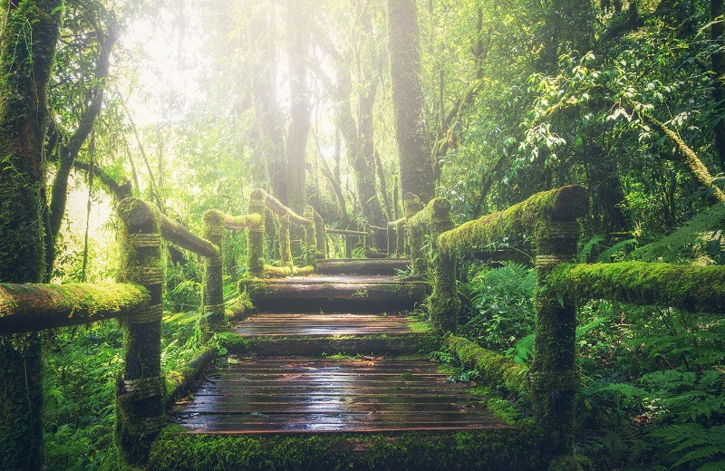Reflexiones sobre la belleza