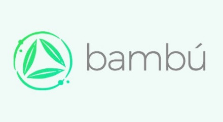 Bambú