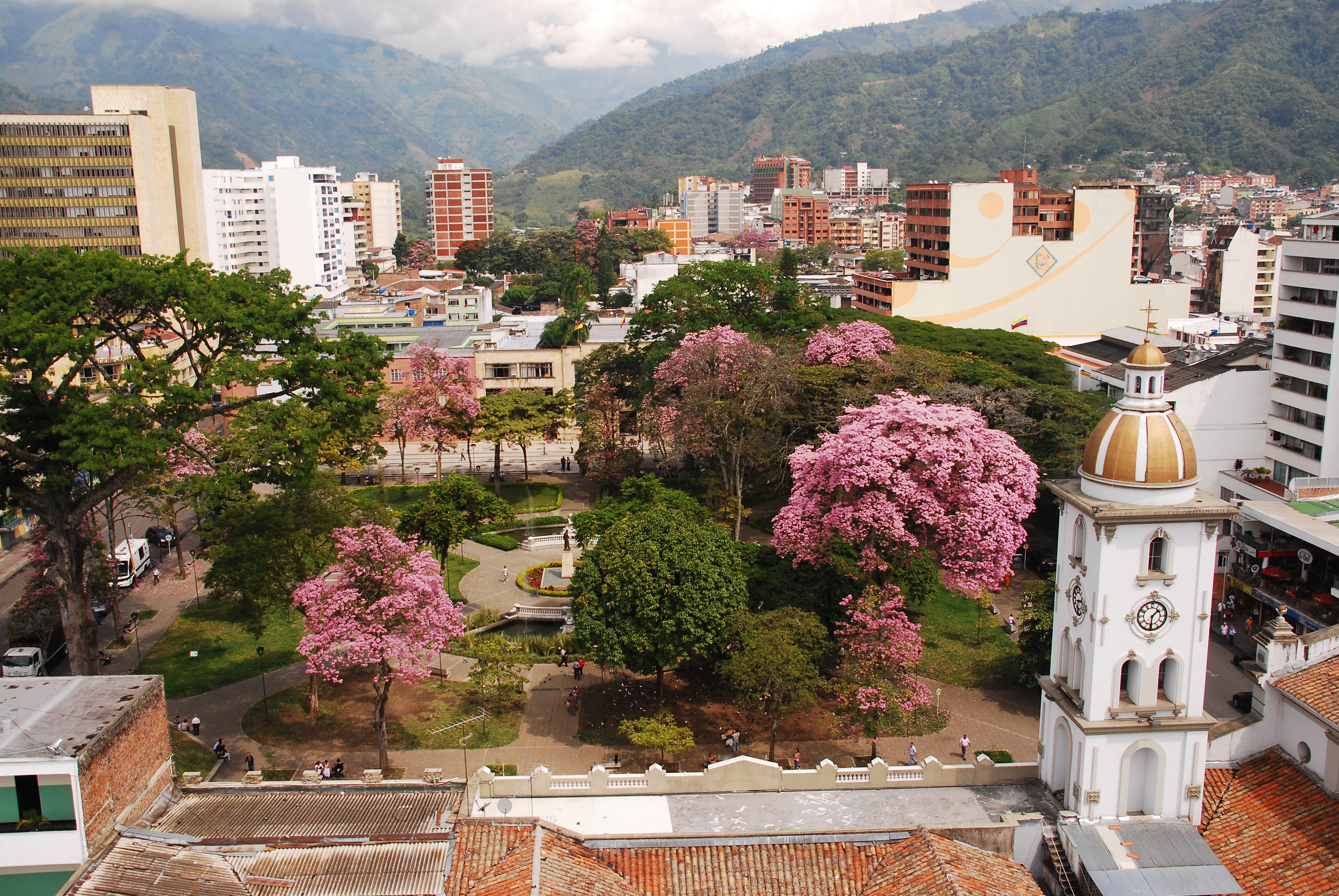 Psicólogos expertos en Hipnosis en Ibagué