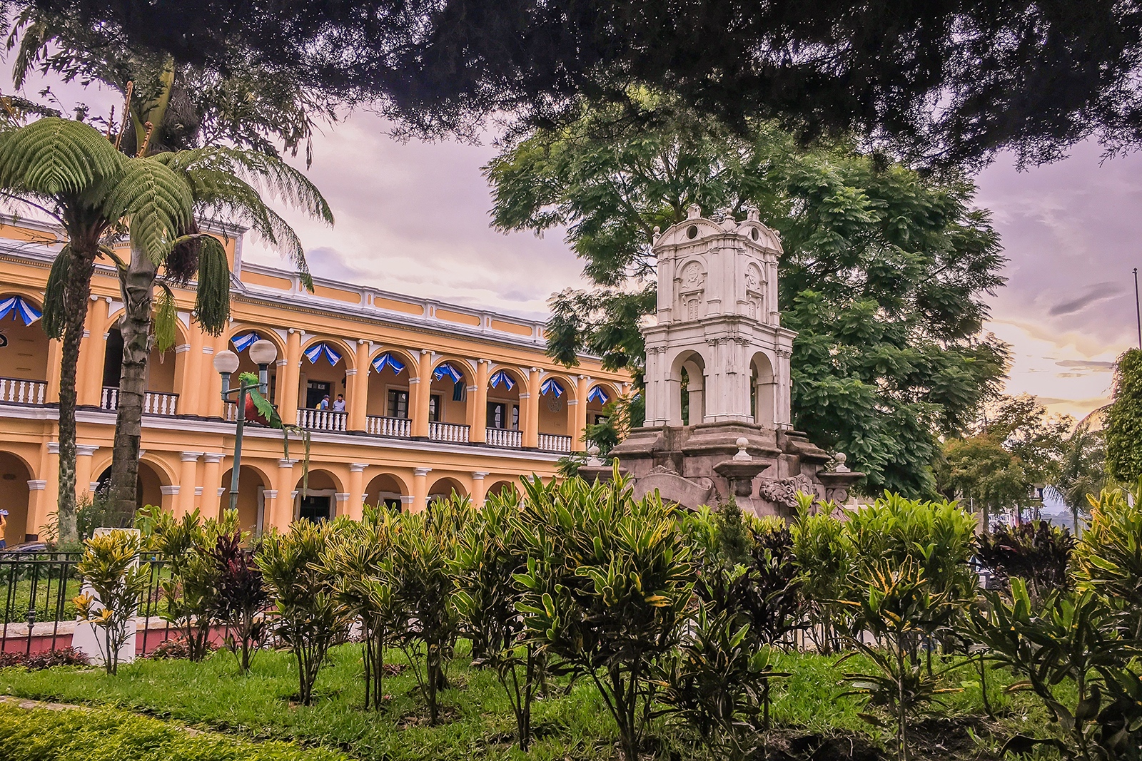 Psicólogos en Cobán (Guatemala)