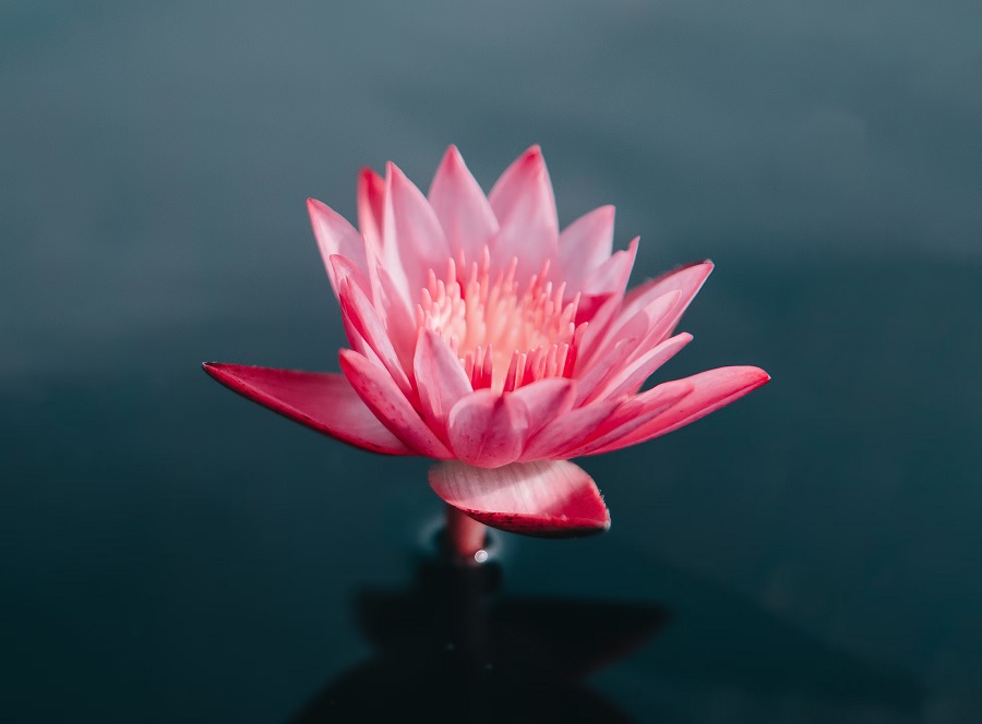 Los mejores Retiros de Meditación en España