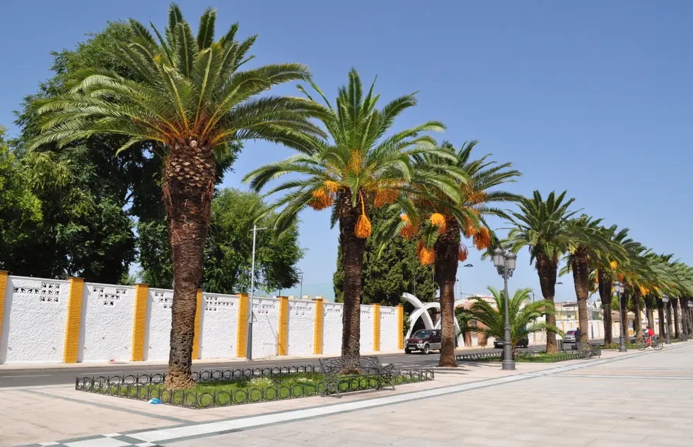 Psicólogos en Bailén (Jaén)