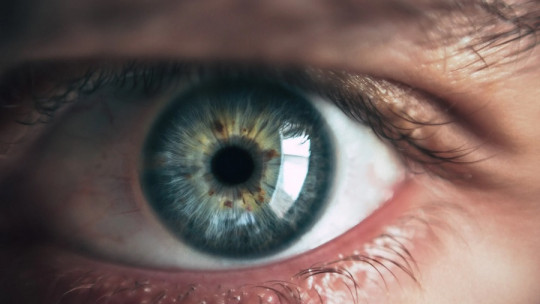Tipos de percepción del ser humano