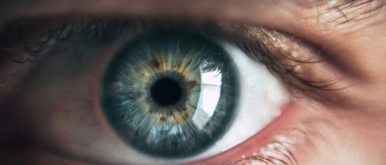 Tipos de percepción del ser humano