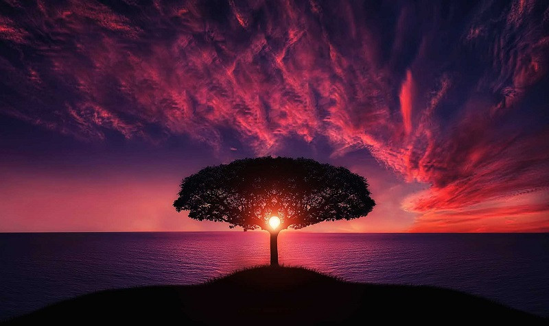 Reflexiones de atardecer