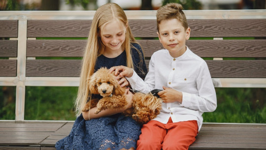 Las mejores frases de amor por los animales