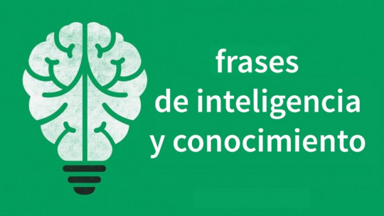 Frases inteligencia