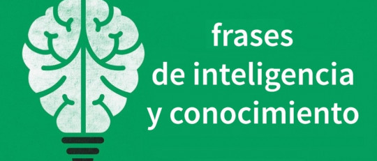 Frases inteligencia