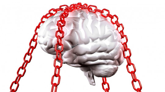 Cerebro 3D.