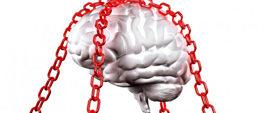 Cerebro 3D.