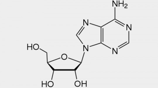 Adenosina