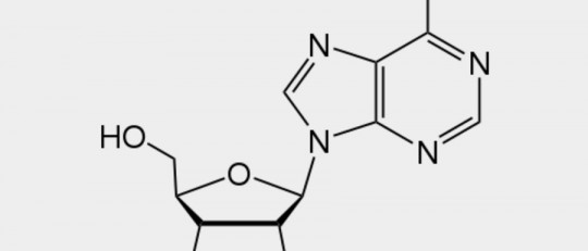 Adenosina