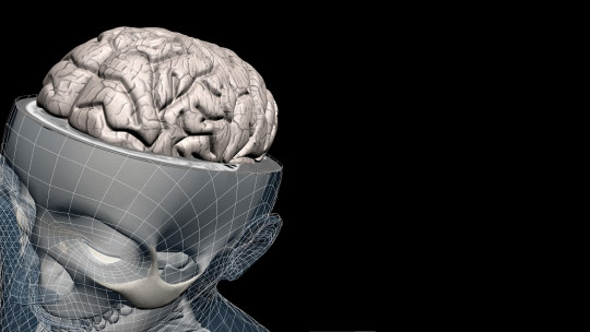 Cerebro en tras dimensiones.