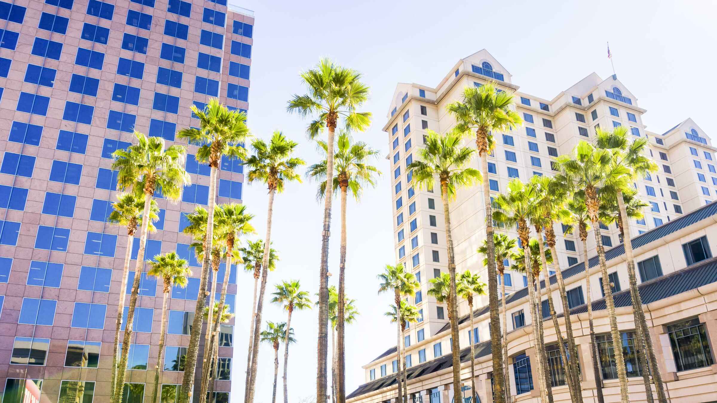 Terapia de Pareja en San José (California)