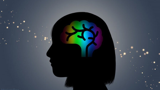 Las Teorías Dualistas de la Consciencia