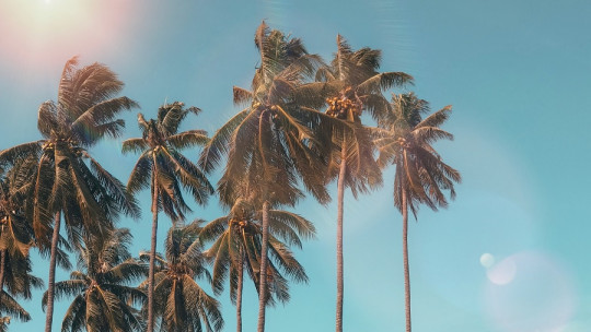 5 buenos hábitos para el verano