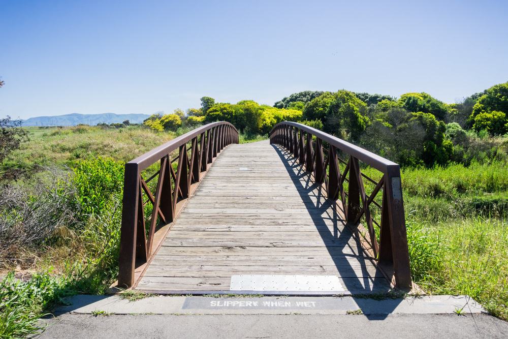 Psicólogos en Mountain View (California)