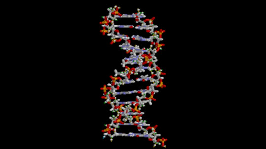 Qué es el ADN