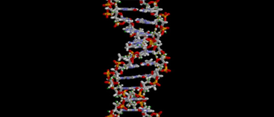 Qué es el ADN