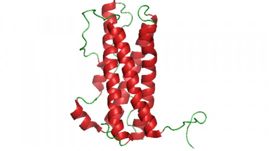 Prolactina