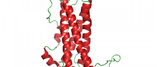 Prolactina