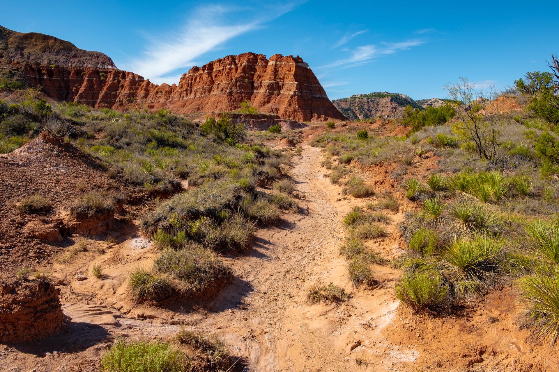 Psicólogos en Odessa (Texas)