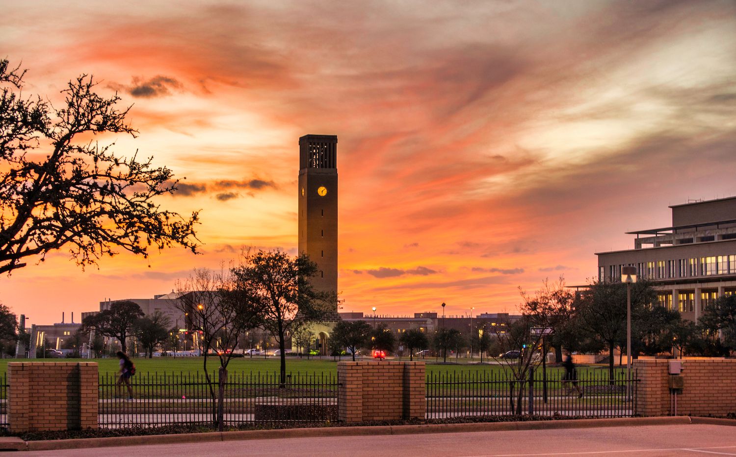 Psicólogos en College Station (Texas)